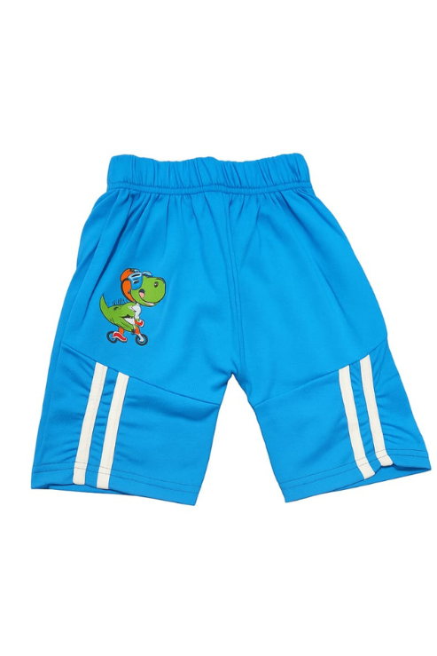 Kids’ Dino Fun Graphic Set