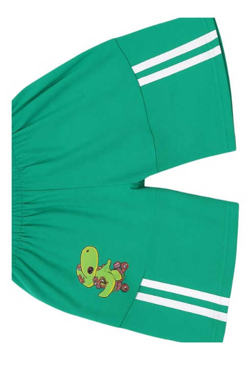 Kids’ Dino Fun Graphic Set